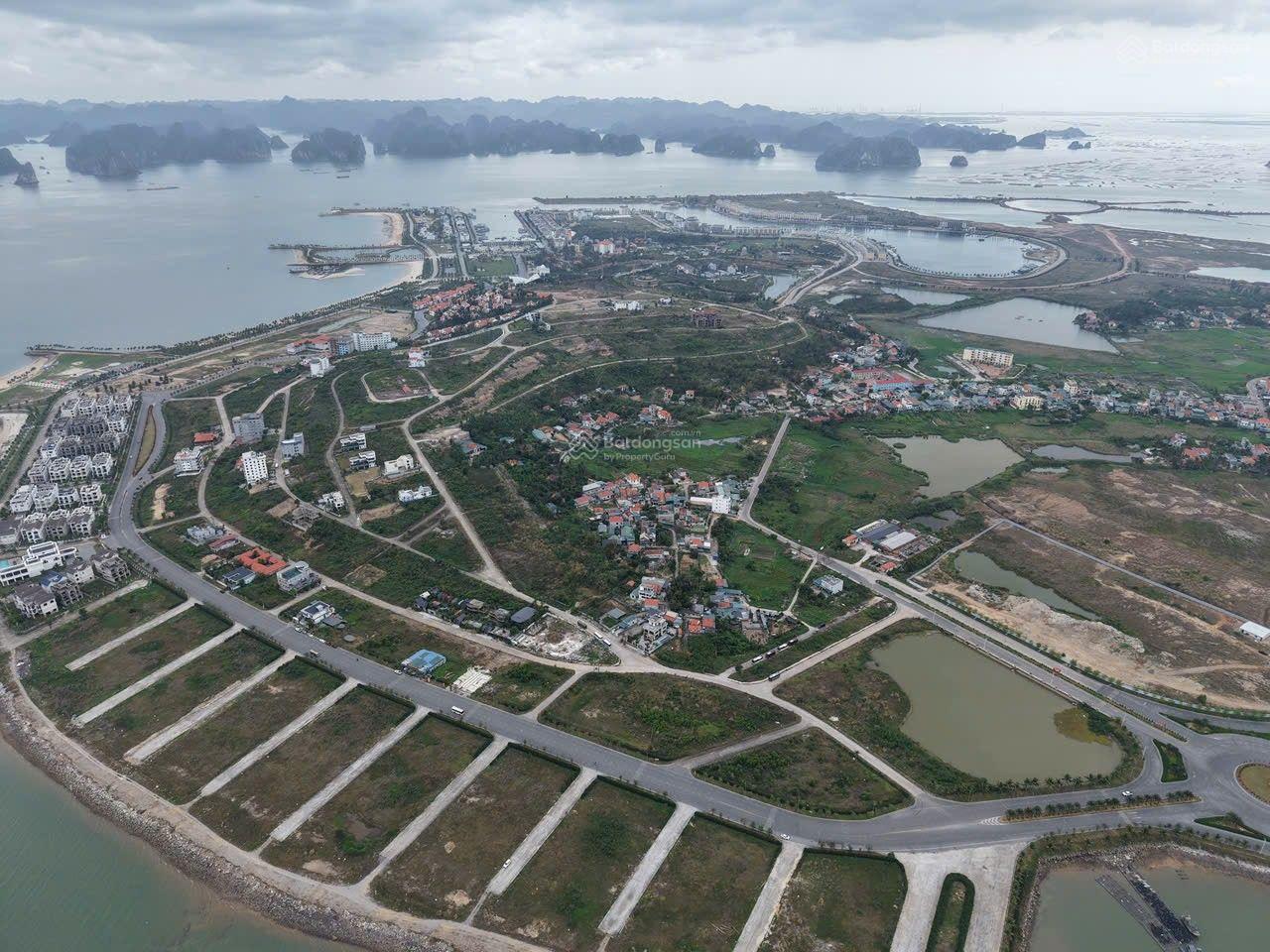 Đất biệt thự đồi tuần châu